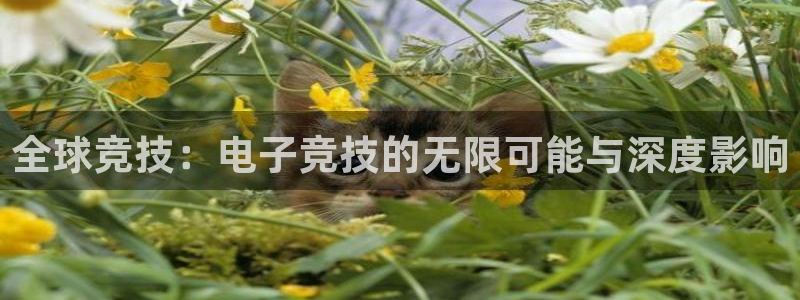 杏悦体育注册登录入口
