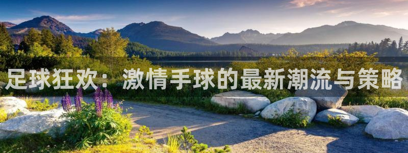 杏悦3官网登录