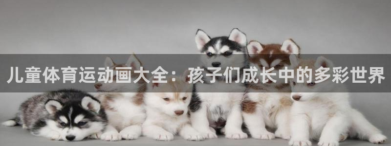 杏悦体育官网登录