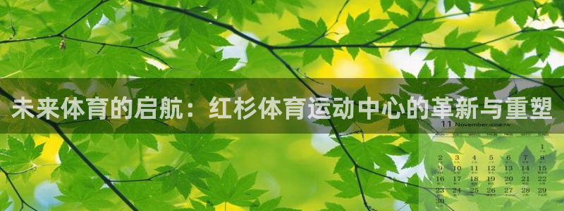 杏悦体育凯捷平台注册