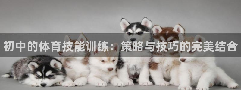 意昂注册