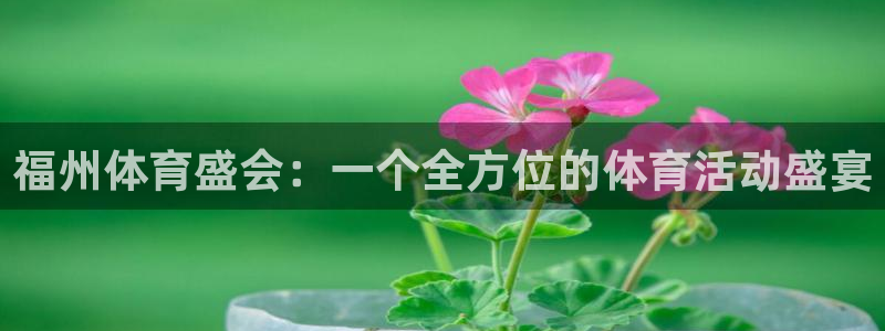 杏悦2官网