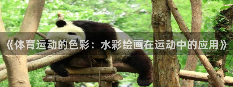 杏悦体育官网注册
