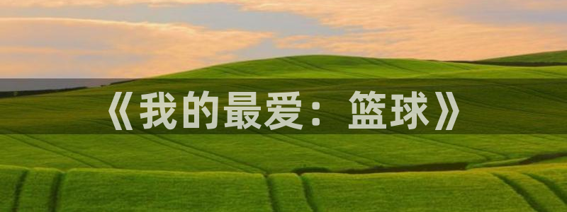 杏悦能源