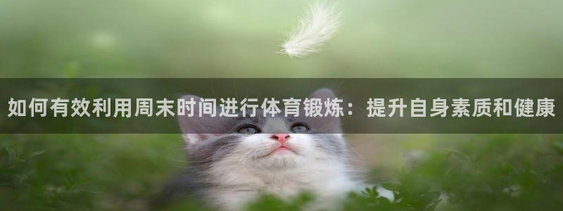 杏悦体育平台开号链接