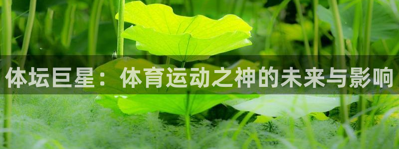 杏悦注册