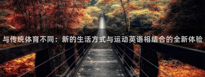 杏悦平台注册
