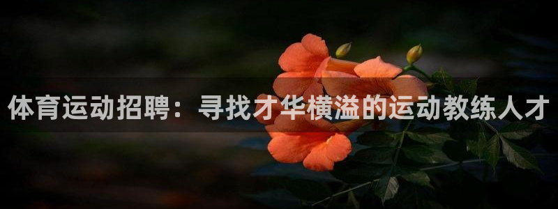 杏悦招商