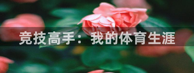杏悦集团