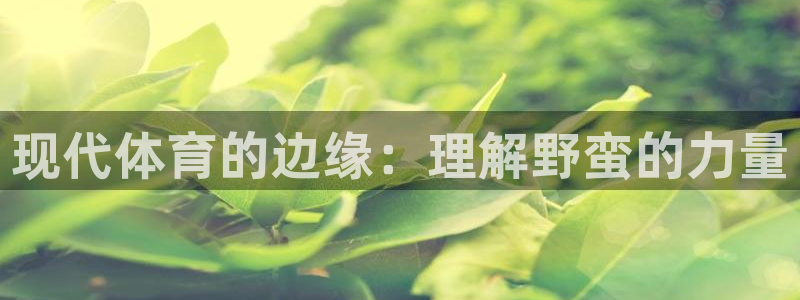 意昂3登录