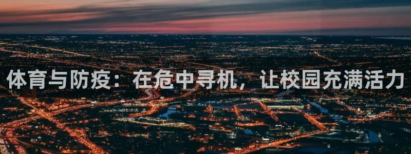 上海杏悦汽车电子有限公司