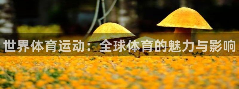 杏悦凯捷开号链接