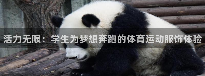杏悦体育官网