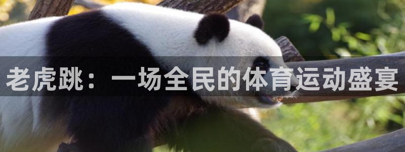 杏悦3登陆
