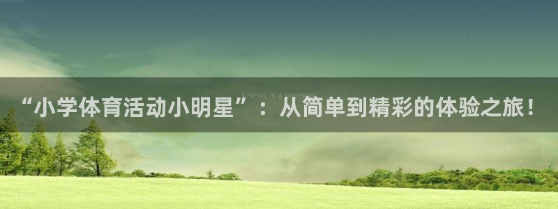 上海杏悦汽车电子有限公司