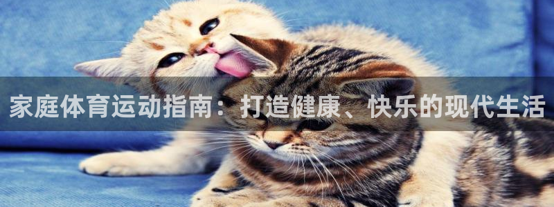 杏悦4平台